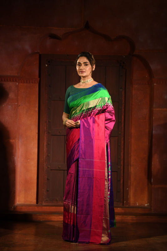 Amala | Pochampalli Silk Saree